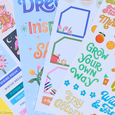 Jess Miller Draws x Happy Planner Seasonal Teacher - Value Pack Stickers - Big