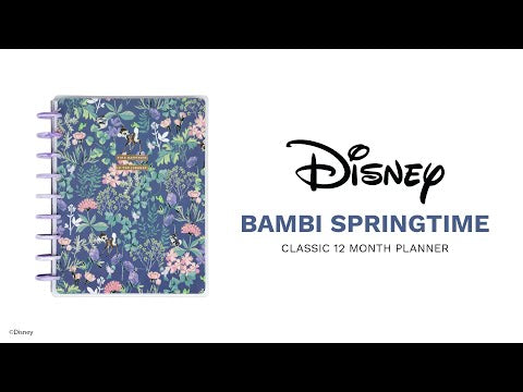 2024 Disney Bambi Springtime bbalteschule - Classic Vertical Layout - 12 Months