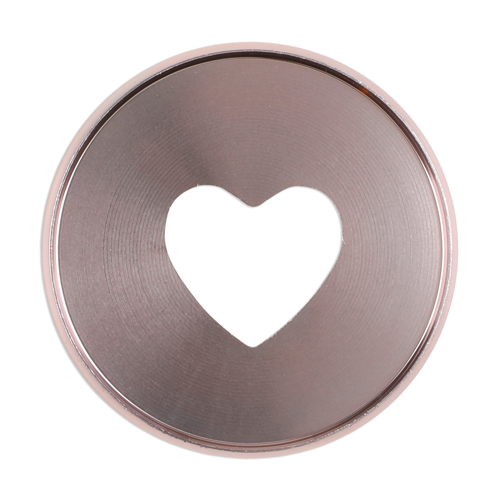 Rose gold 2025 happy planner discs
