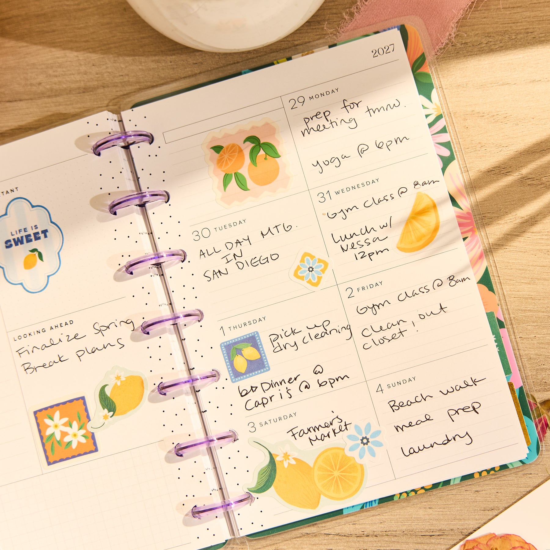 Mini Planner Mini Pags 2026–2027 Golden Garden Customizable Planner - Mini Dashboard Layout ...
