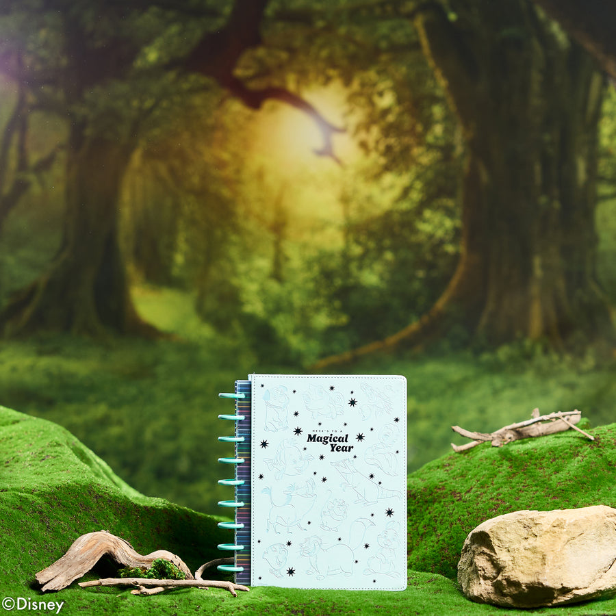 Disney Best Pals Collection – Happy Planner