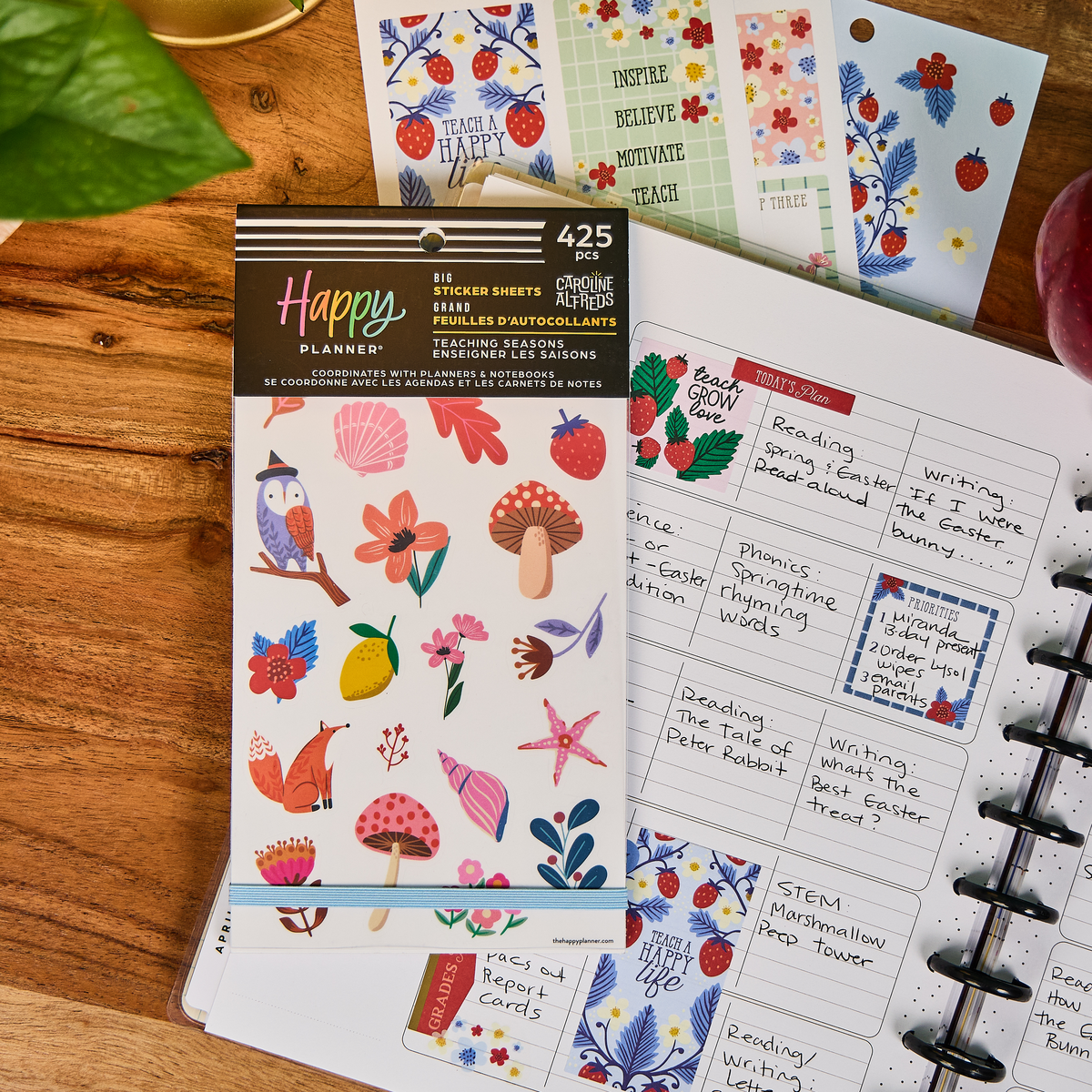 Teaching Seasons - Value Pack Stickers - Big – Happy Planner