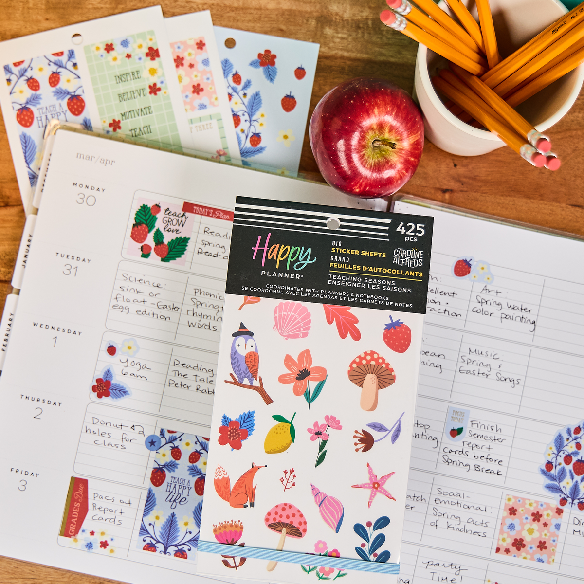 Teaching Seasons - Value Pack Stickers - Big – Happy Planner