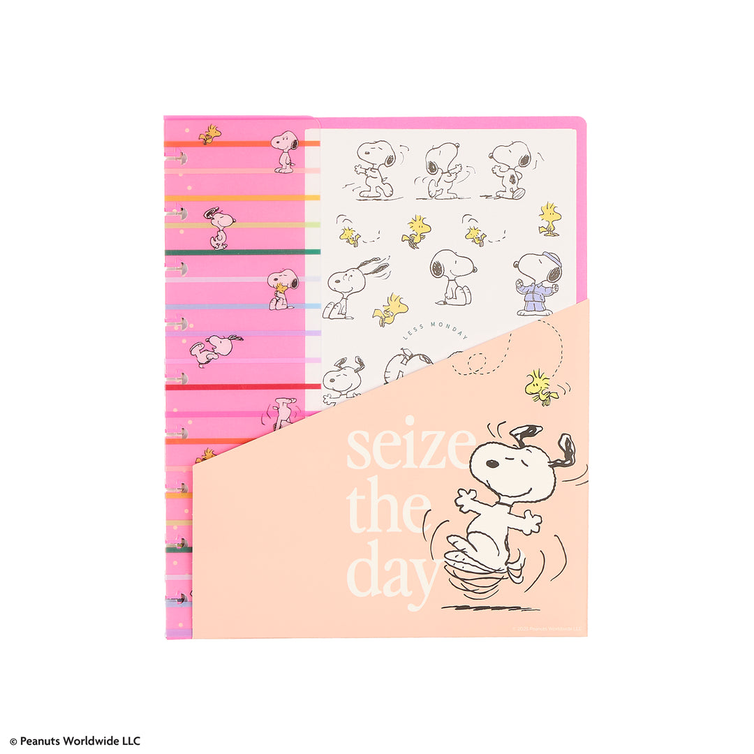 PEANUTS™ - Classic Accessory Pack – Happy Planner