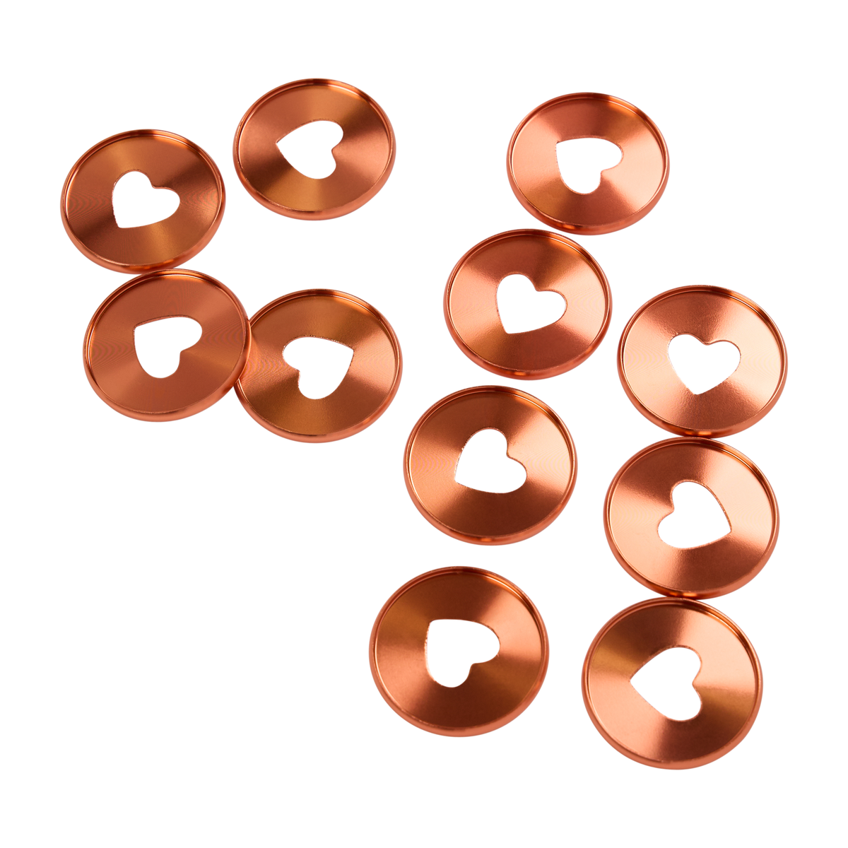 Coral - Expander Metal Disc Set – Happy Planner