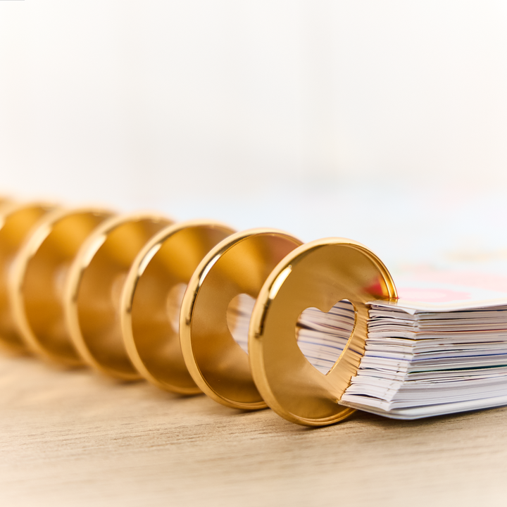 Gold - Expander Metal Disc Set – Happy Planner