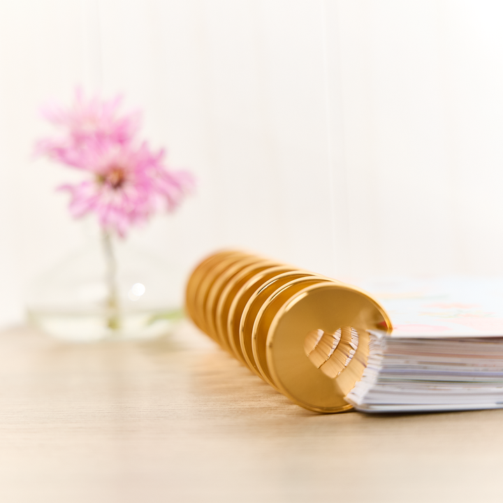 Gold - Expander Metal Disc Set – Happy Planner