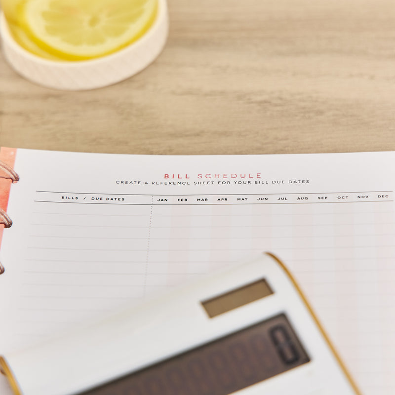 Textured Canvas Budget - Classic Guided Budget Journal - 40 Sheets