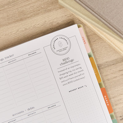 2036 Textured Canvas Customizable Budget Planner - Big Budget Layout - 12 Month