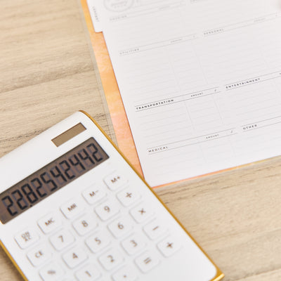 2041 Textured Canvas Customizable Budget Planner - Classic Budget Layout - 12 Month