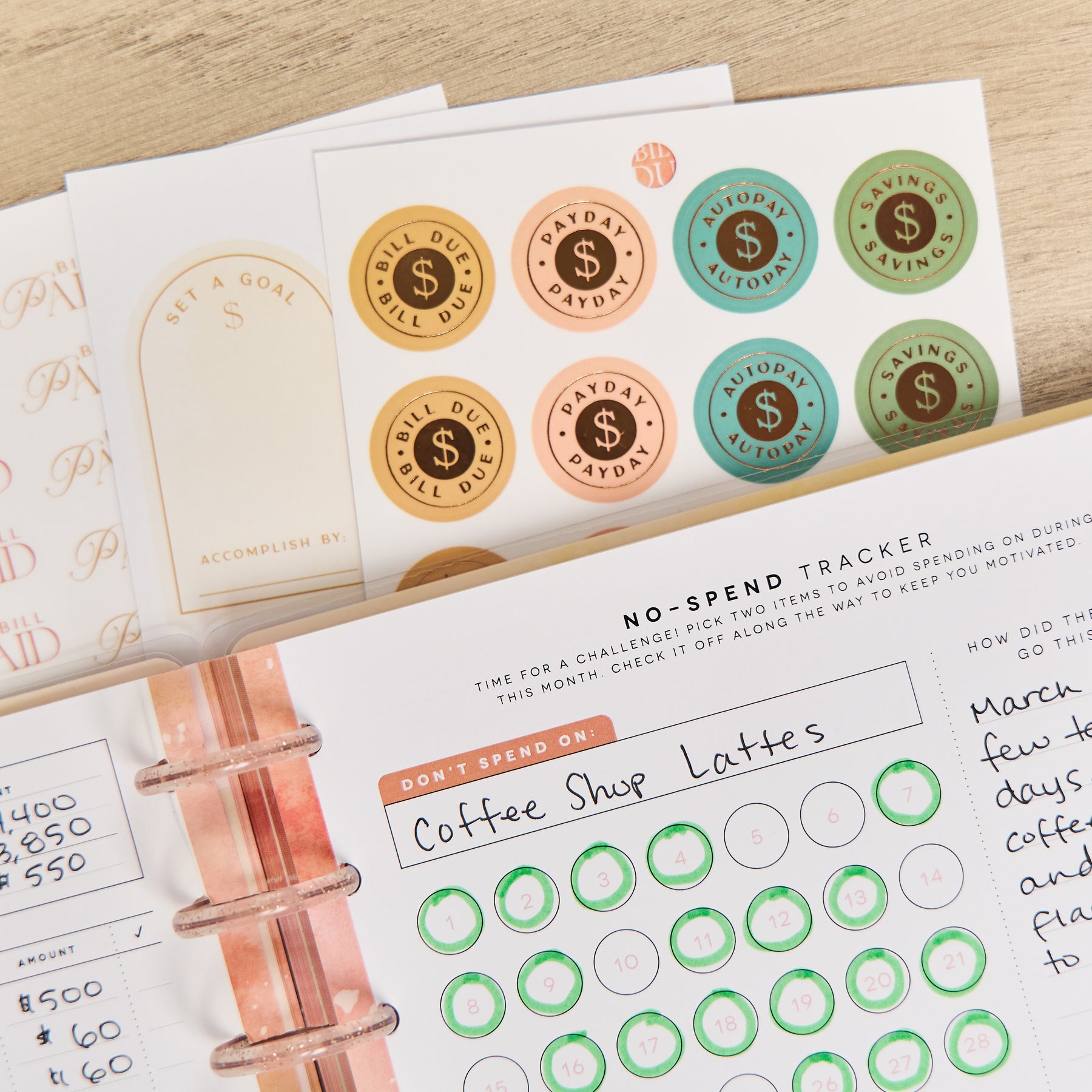 Budget Project Sticker Textured Canvas Budget - Value Pack Stickers – Happy Planner