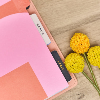 2036 SPECIALTY Pop Splash Customizable Planner - Classic Horizontal Layout - 12 Month