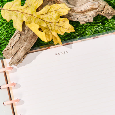 Disney Winnie the Pooh Seasonal - Dotted Lined Classic Notebook - 60 Sheets