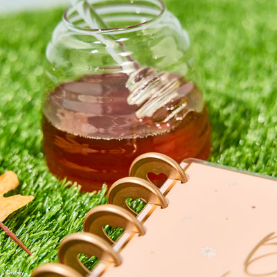 2033 Disney Winnie the Pooh Seasonal Customizable Planner - Classic Dashboard Layout - 12 Months