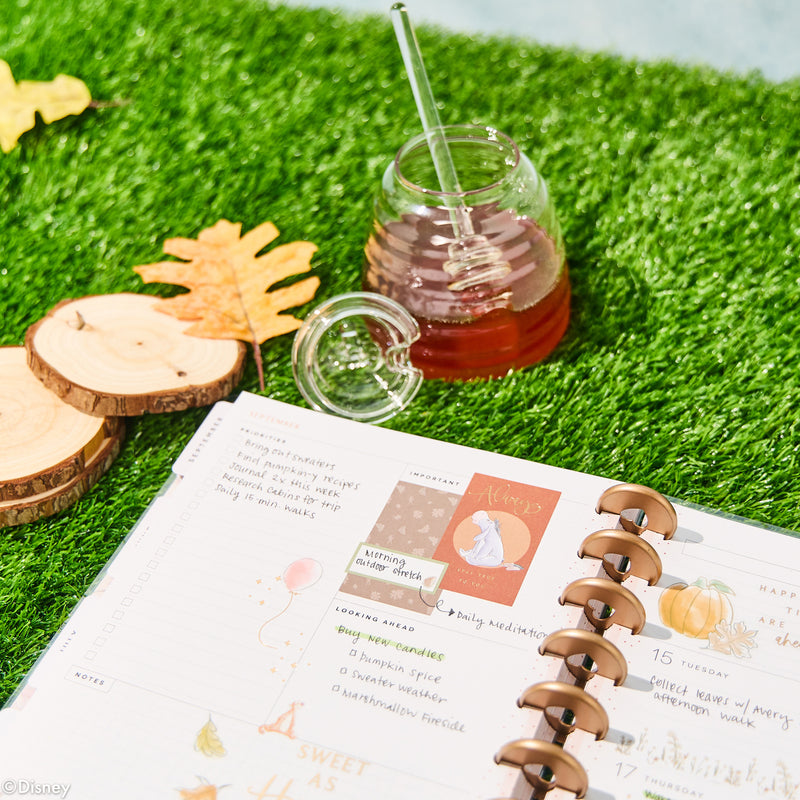 2030 Disney Winnie the Pooh Seasonal Customizable Planner - Classic Dashboard Layout - 12 Months