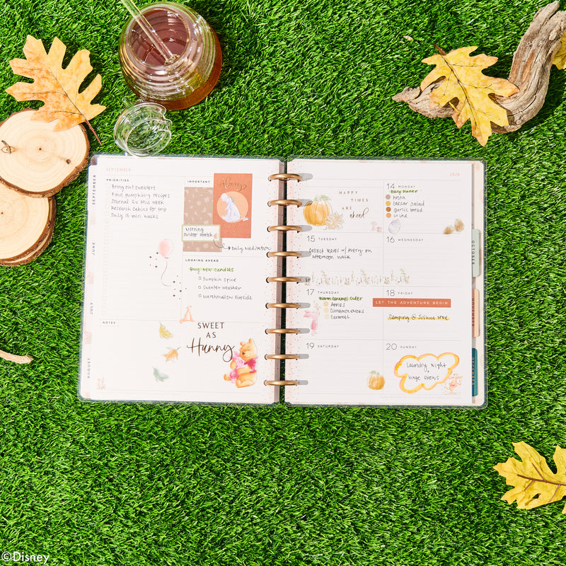 2029 Disney Winnie the Pooh Seasonal Customizable Planner - Classic Dashboard Layout - 12 Months