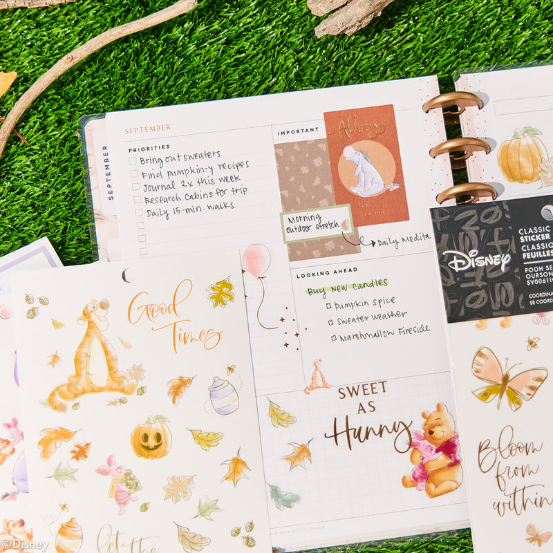 Disney Winnie the Pooh Seasonal - Value Pack Stickers