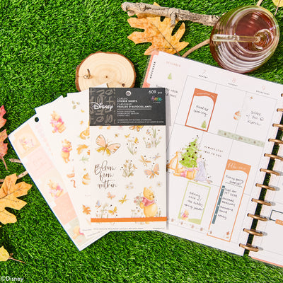 Disney Winnie the Pooh Seasonal - Value Pack Stickers