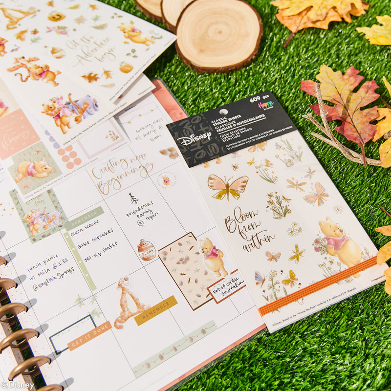 Disney Winnie the Pooh Seasonal - Value Pack Stickers