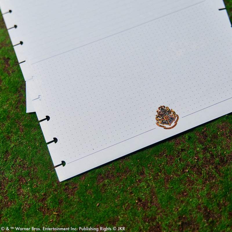 Harry Potter Enchanted Grounds - Dashboard Big Filler Paper - 40 Sheets