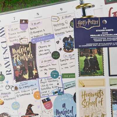 Harry Potter Enchanted Grounds - Value Pack Stickers - Big