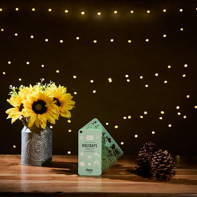 Holidays - Stencil Fan Book - 5 Sheets