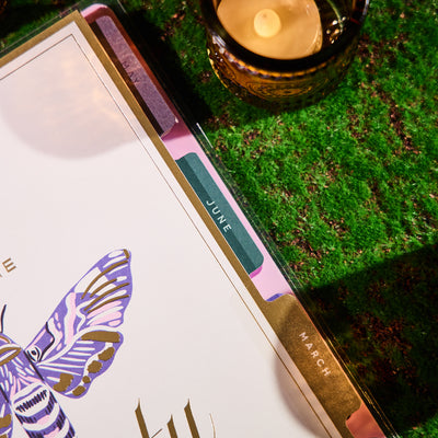 2033 Butterfly Botanics Customizable Planner - Classic Color Block Layout - 12 Month