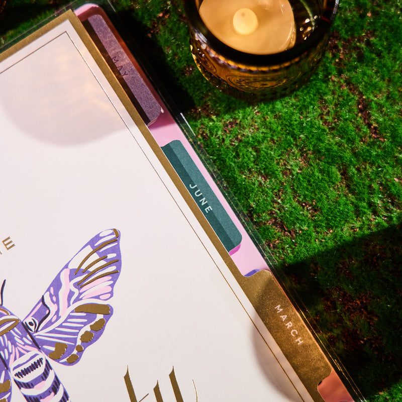 2033 Butterfly Botanics Customizable Planner - Classic Color Block Layout - 12 Month