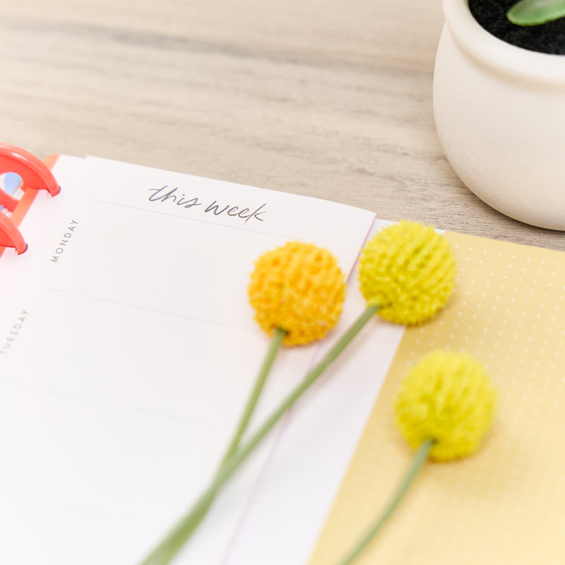 Bright Energy - Big Accessory Pack