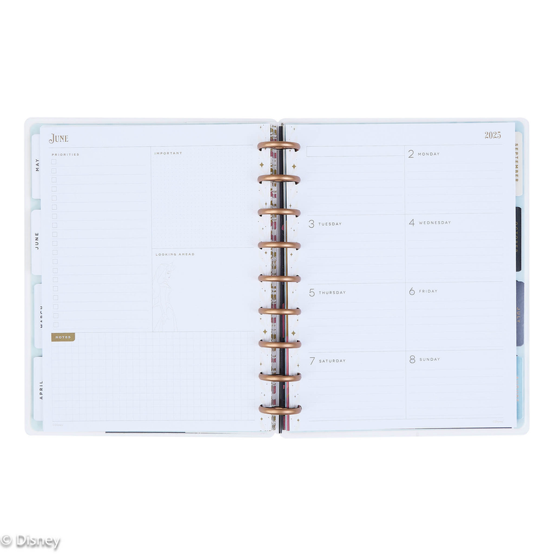 2025 Disney Sleeping Beauty 65th Anniversary Planner - Classic Dashboard Layout - 12 Months