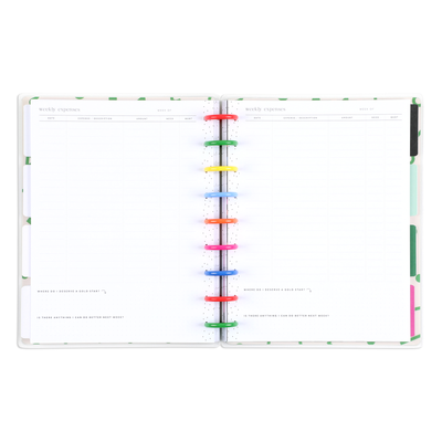 Undated Big Dollar Energy Happy Planner - Classic Budget Layout - 12 Months