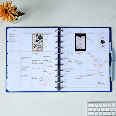 2025 Work + Life Elemental Planner - Big Hourly Layout - 12 Months