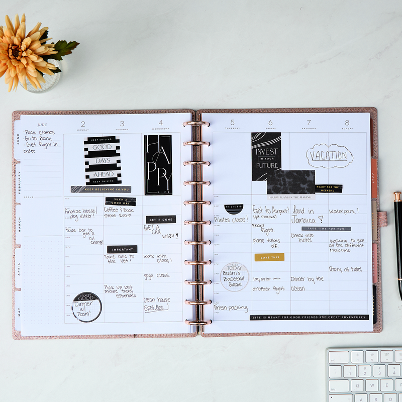 2025 Work + Life Rose Gold Planner - Big Hourly Layout - 12 Months