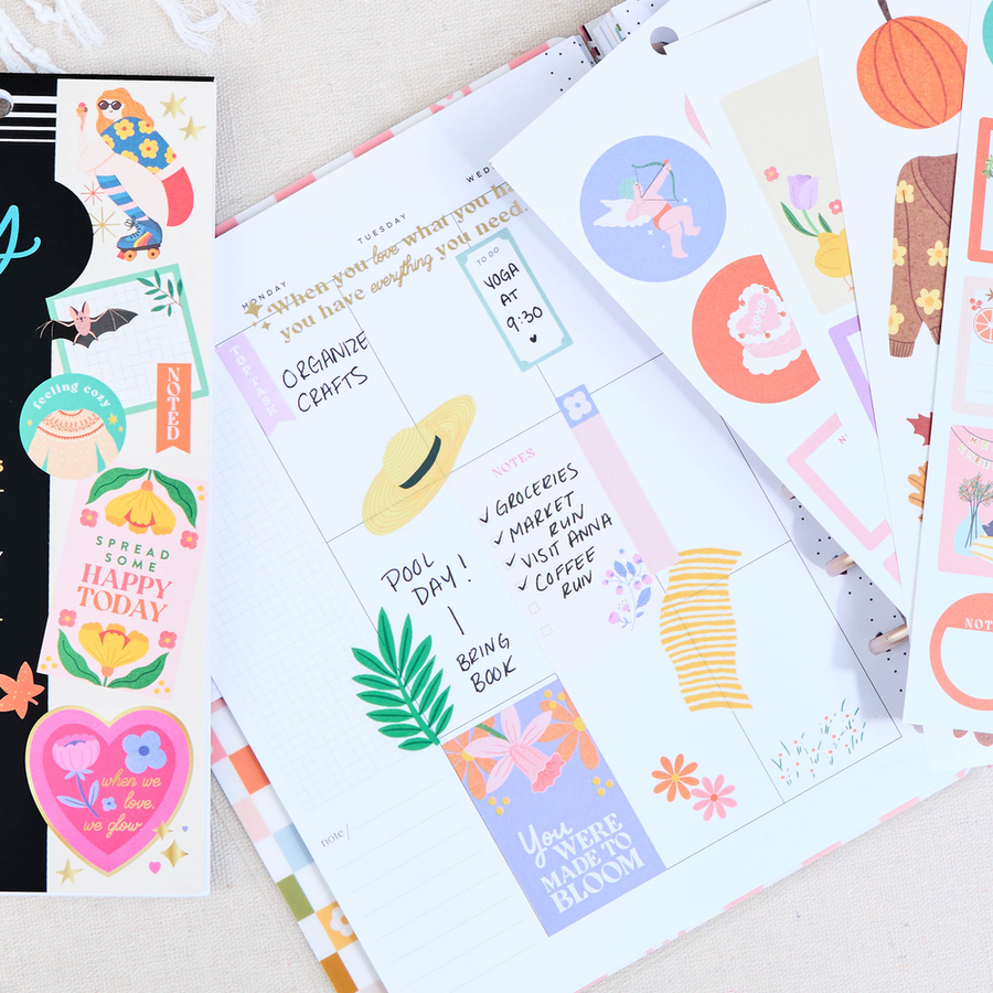 Tània Garcia x Happy Planner Seasonal - Value Pack Stickers