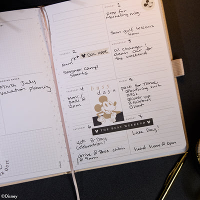 Undated Premium Ivory Disney Mickey Mouse Book Bound Planner - Small Dashboard Layout - 12 Months