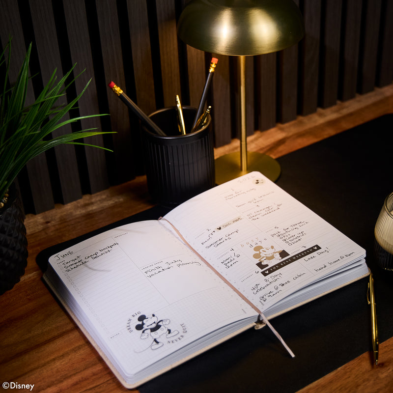 Undated Premium Ivory Disney Mickey Mouse Book Bound Planner - Small Dashboard Layout - 12 Months