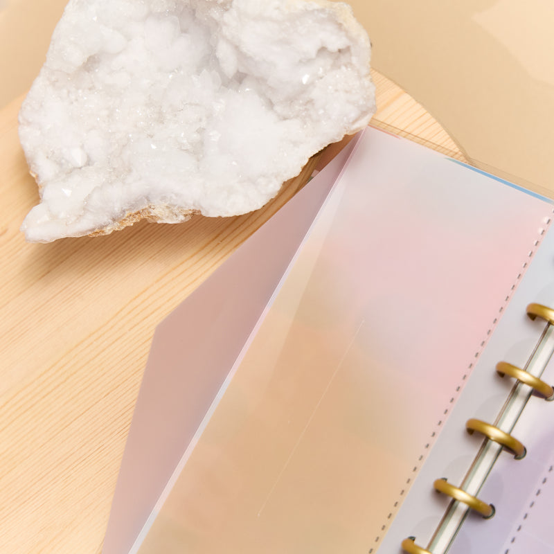 Savvy Budgeter - Skinny Classic Budget Tracker Bundle