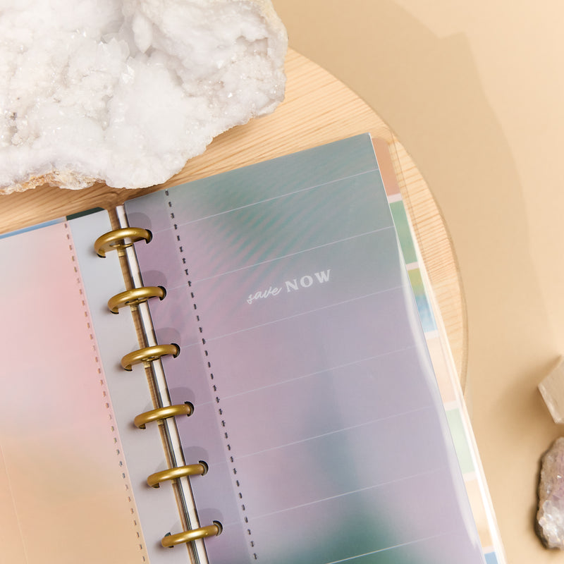 Savvy Budgeter - Skinny Classic Budget Tracker Bundle