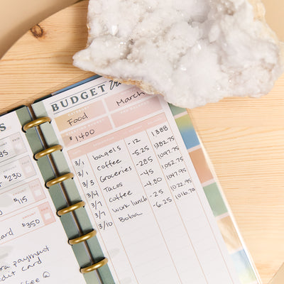 Savvy Budgeter - Skinny Classic Budget Tracker Bundle