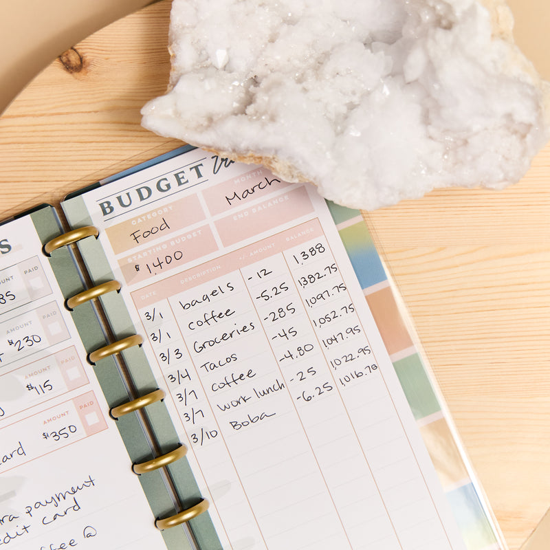 Savvy Budgeter - Skinny Classic Budget Tracker Bundle