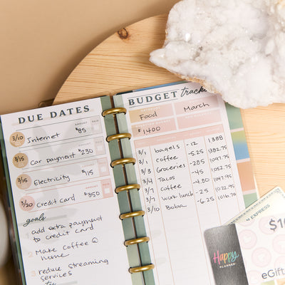 Savvy Budgeter - Skinny Classic Budget Tracker Bundle