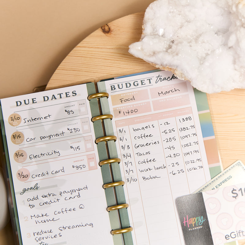 Savvy Budgeter - Skinny Classic Budget Tracker Bundle