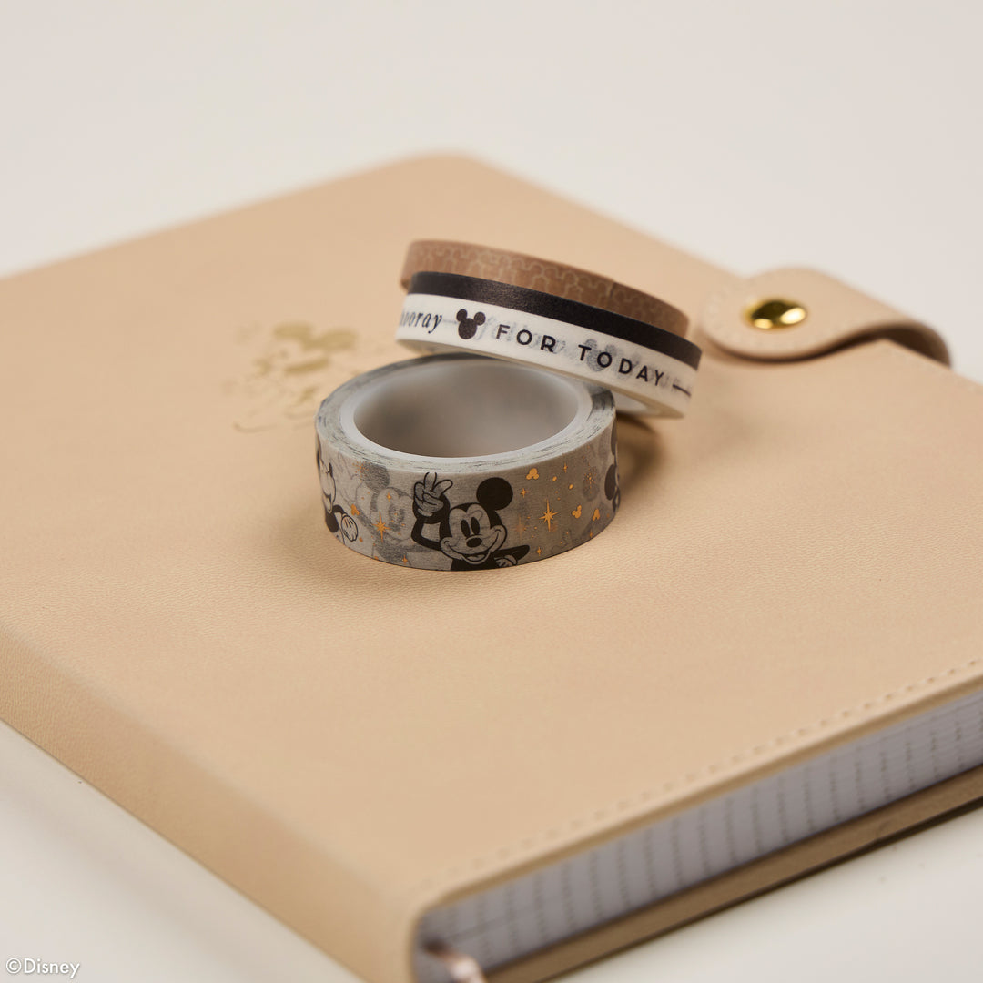 レコーダー Disney Mickey Mouse Blu-ray Mate ディズニー ミッキー