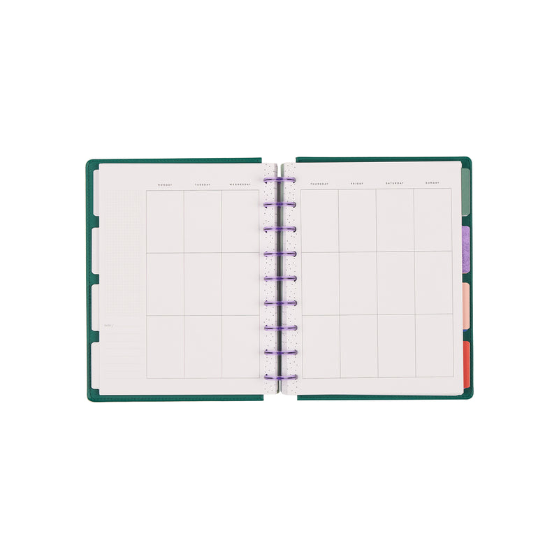 Undated SPECIALTY Current Mood Customizable Planner - Classic Vertical Layout - 12 Months