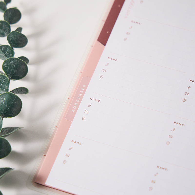 Rise & Align - Addresses - Classic Accessory Pack