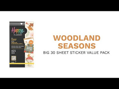 Woodland Seasons - Value Pack Stickers - Big