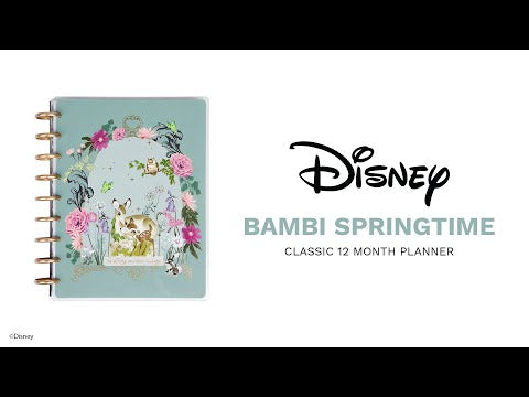 2024 Disney Bambi Springtime bbalteschule - Classic Dashboard Layout - 12 Months