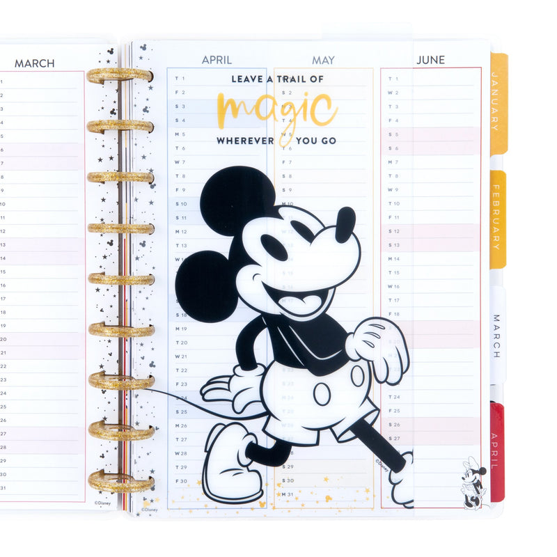 Mickey and Minnie Classic Dashboards - Dreams Come True