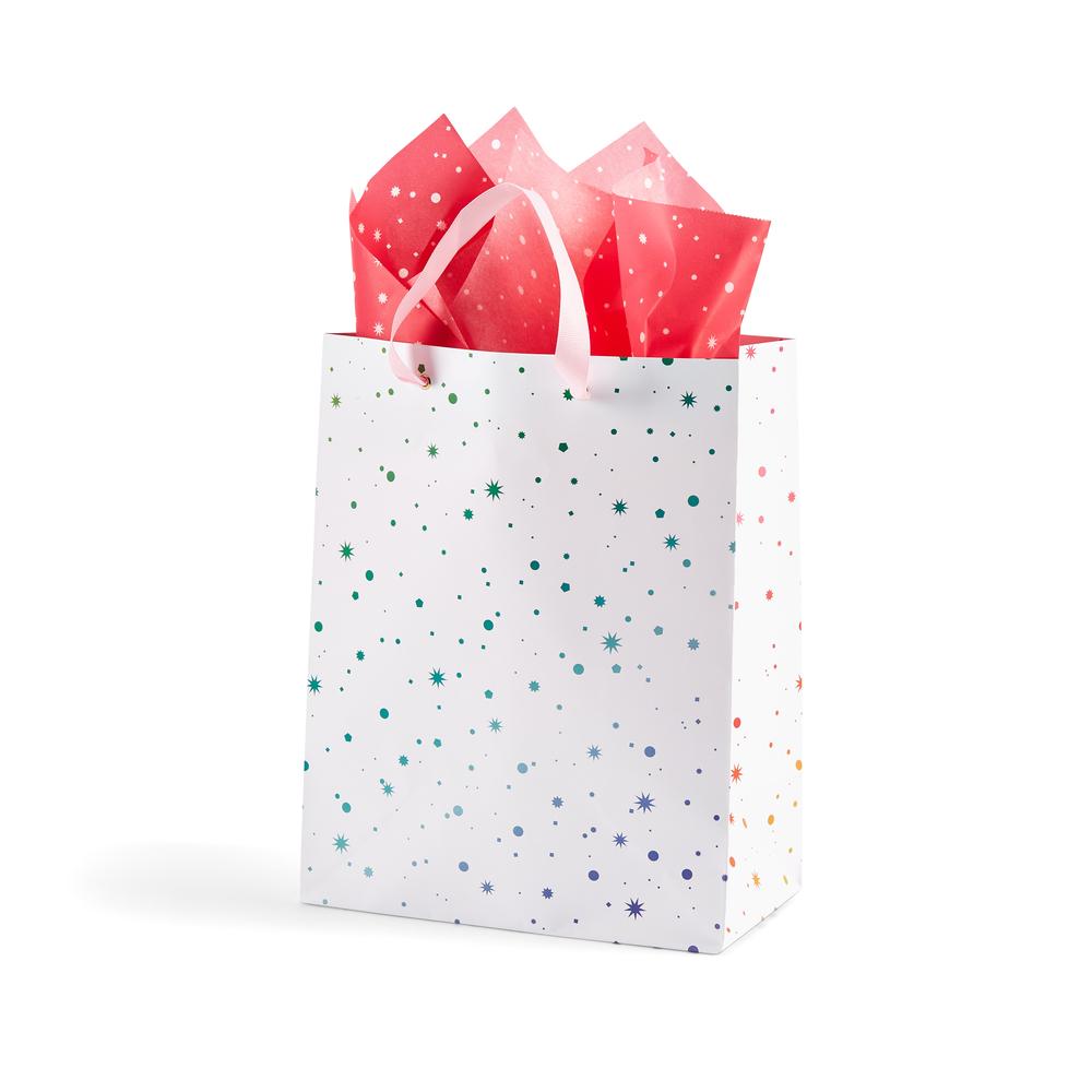 Everyday Glossy Gift Bag w/tissue