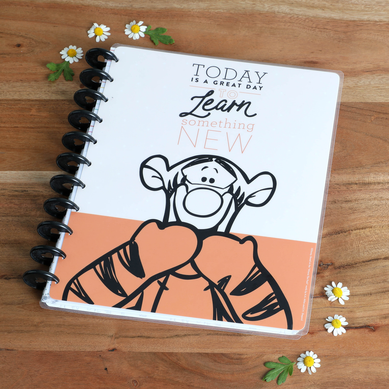 Disney Winnie the Pooh True to You - Classic Accessory Pack – The Happy  Planner